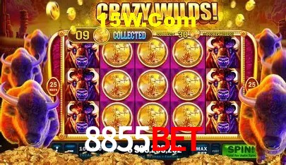 Promoções Sazonais 8855Bet