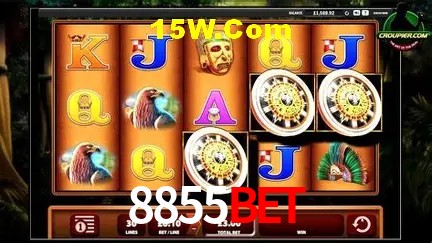Recursos de Bônus 8855Bet